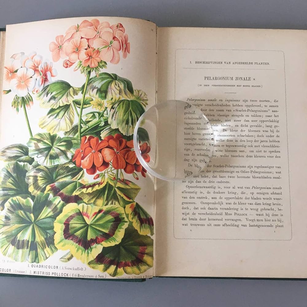 Amazon.co.jp: 希少 オランダ植物図鑑 1867年 クロモリトグラフ